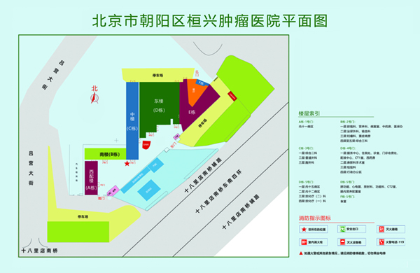 逼好骚操视频北京市朝阳区桓兴肿瘤医院平面图